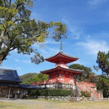 Kyoto (Daikaku-ji Temple)